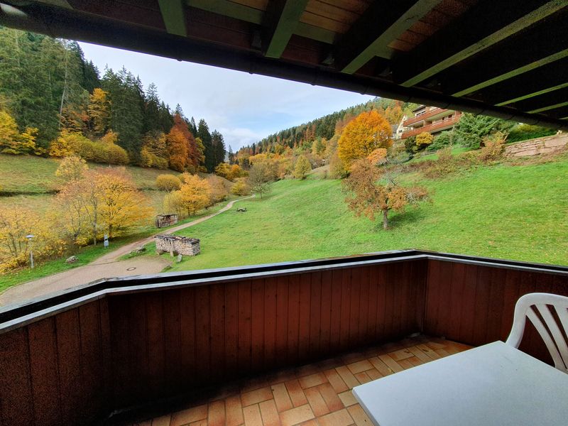 Gepflegte DG-Wohnung mit einem Zimmer sowie Balkon und EBK in Calw (Kreis)